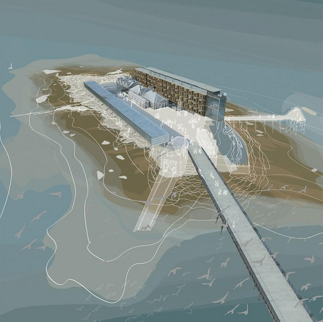 Blue Skies Photo #39