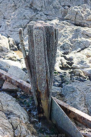 The North Jetty Pockets #9