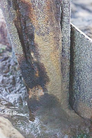 The North Jetty Pockets #13