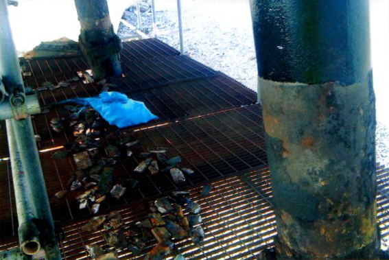 Birnbeck Repair Image #021