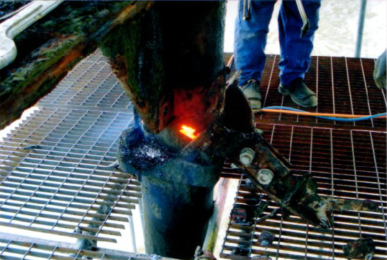 Birnbeck Repair Image #008