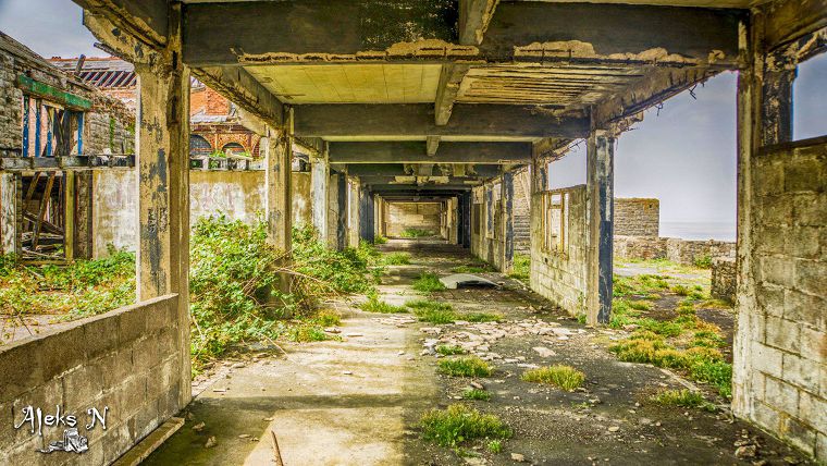 Birnbeck Gallery Image #23